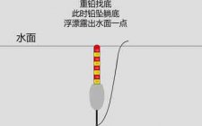 钓鱼调漂的正确方法