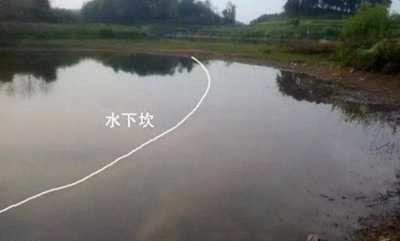 夏天野钓怎么选钓位（图文）_WWW.YUJUCEPING.COM