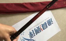 伽玛鲤红4H怎么样