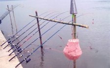 海竿钓鲢鳙线组怎么搭配