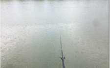 台钓鲤鱼用什么线组