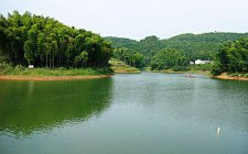 夏天钓草鱼的几个实用技巧