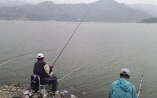 台钓的钓具选择技巧