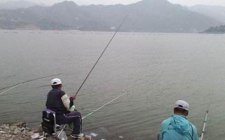 钓鲟鱼的钓具选择技巧