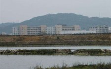 春天在浅塘钓鱼的技巧