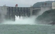 水库钓鲌鱼的技巧