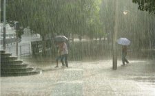 夏天钓鱼需要注意的问题