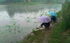 下雨天可以钓鱼吗