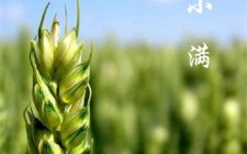 立夏之后的几个节气应怎么钓鱼