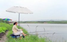 初夏鱼不开口怎么办