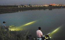 夜钓中哪几样照明设备最好