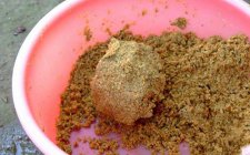 夏天钓鱼饵料的选择有什么技巧