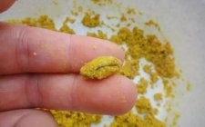 针对不同情况应该怎么使用搓饵