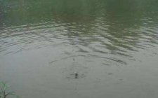 夏天气候多变怎么钓鱼