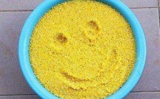 夏天钓鱼怎么打窝才能提高诱鱼效果