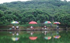夏天钓鱼需要哪些安全防护