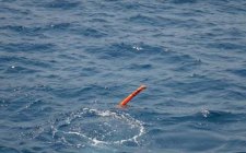夏天野钓应该怎么避免小杂鱼闹窝