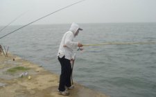海钓鲅鱼的最佳时间