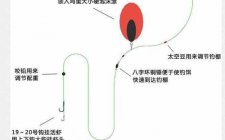 海钓鲈鱼的装备和线组