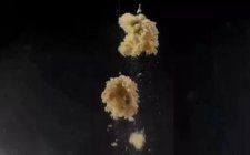钓鱼时需要哪些基本的技巧