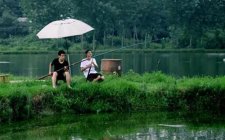 夏天钓鱼浮漂的灵钝怎么把控