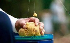 夏天钓鱼使用拉饵的不同状态