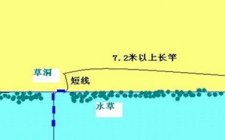 夏天在草洞野钓鲫鱼有哪些技巧