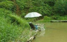 休闲野钓时的哪些情况不能钓草窝