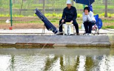 鱼塘应该怎么选择钓具