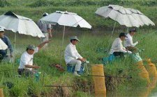 在黑坑中钓鱼的实战技巧