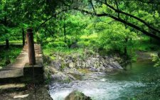 在流水中应该怎么钓鱼