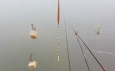 夏天野钓怎么正确的换窝