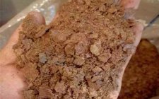 哪些天然饵料适合用来在水库打窝