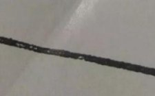 钓鱼鳝鱼需要搭配哪些钓具
