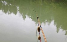 怎么解决双钩总是打结的问题