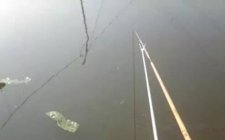 夏天野钓时应该怎么找底