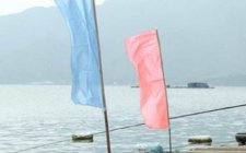 怎么利用海筏小爆炸来钓鱼乌头