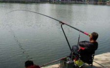 夏天野钓水库怎么避免小杂鱼