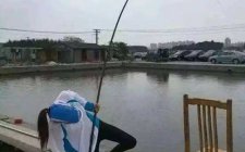 夏天路亚黑鱼经常脱钩怎么办