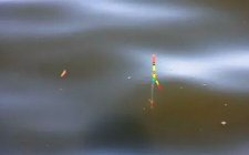 夏天野钓怎么选择一款浮漂
