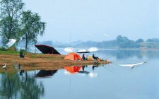 夏天钓鱼鱼儿无口怎么解决