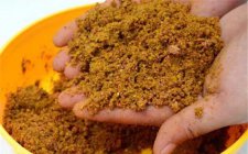怎么选用适宜的饵料