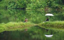 夏天野钓水库怎么调漂