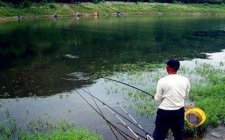 夏天野钓鲤鱼应该怎么调漂