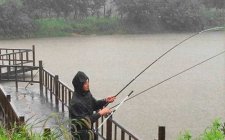 雨天钓鱼好不好