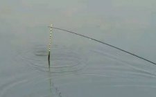 野钓时应该怎么调漂