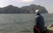 钓黑鱼用什么竿