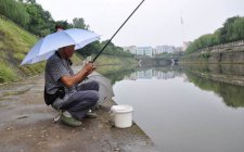 下雨天好钓鱼吗