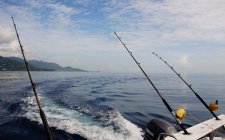 海钓技巧有哪些