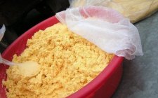 常见钓鱼窝料